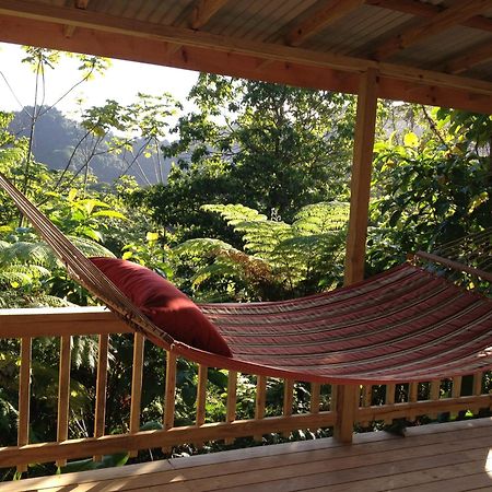 Roots Jungle Retreat Villa Marigot Eksteriør billede