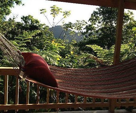 Roots Jungle Retreat Villa Marigot Eksteriør billede