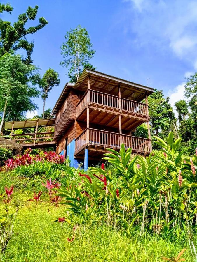 Roots Jungle Retreat Villa Marigot Eksteriør billede