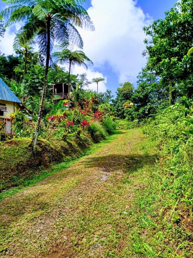 Roots Jungle Retreat Villa Marigot Eksteriør billede