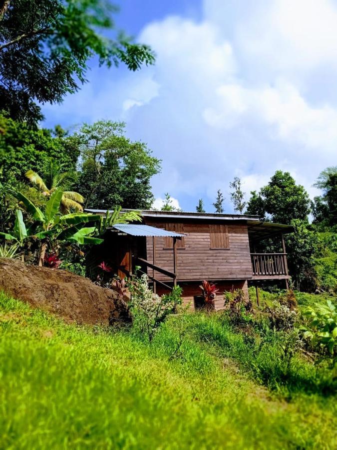 Roots Jungle Retreat Villa Marigot Eksteriør billede