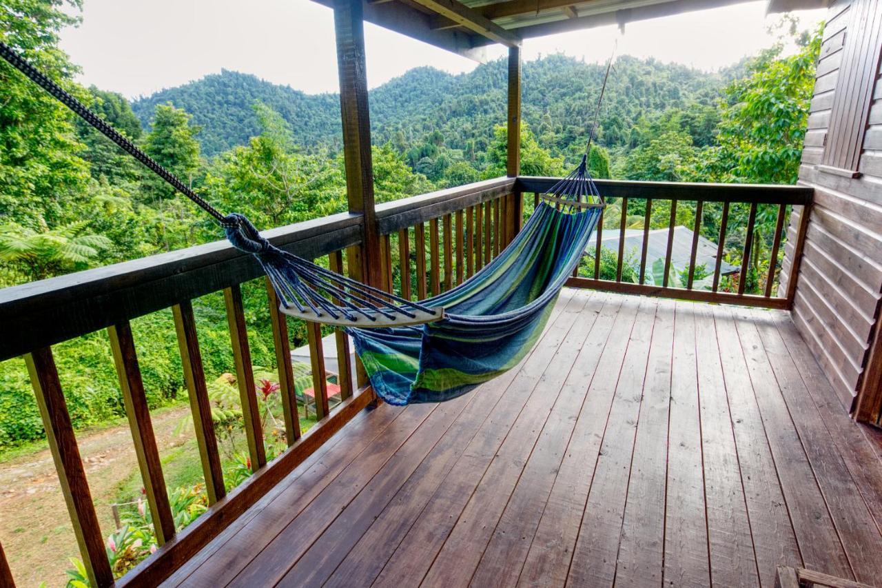 Roots Jungle Retreat Villa Marigot Eksteriør billede