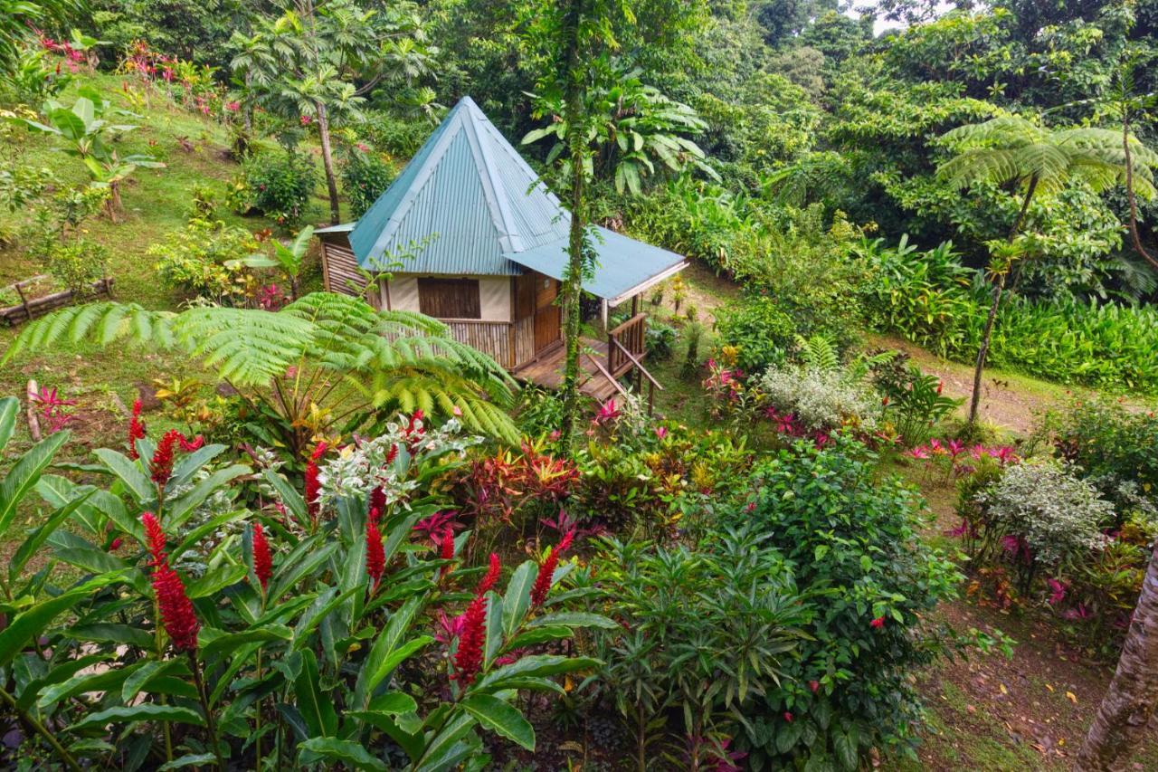 Roots Jungle Retreat Villa Marigot Eksteriør billede