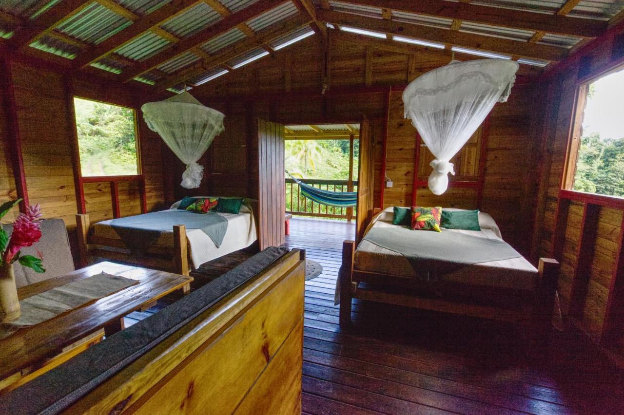 Roots Jungle Retreat Villa Marigot Eksteriør billede