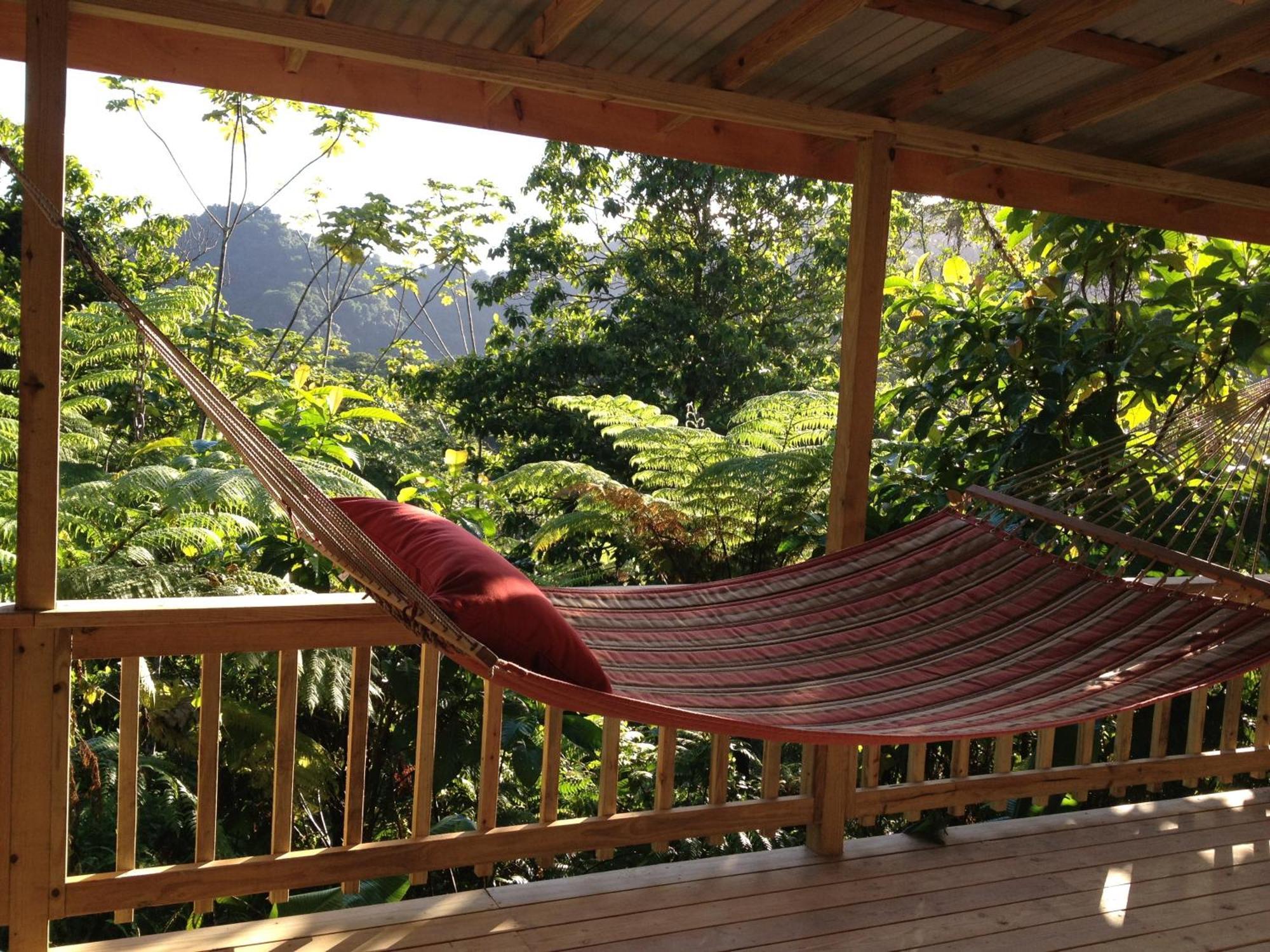 Roots Jungle Retreat Villa Marigot Eksteriør billede