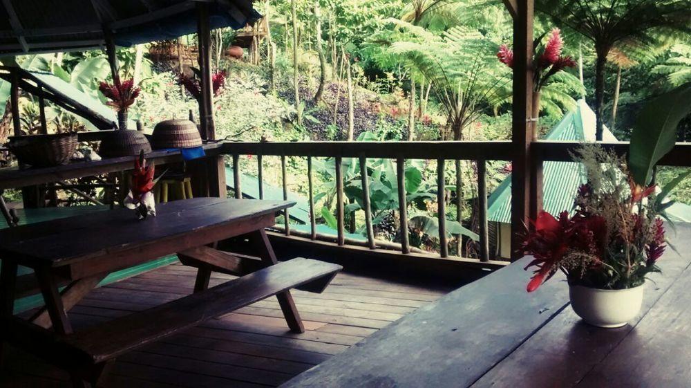 Roots Jungle Retreat Villa Marigot Eksteriør billede