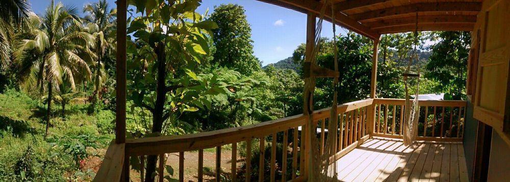 Roots Jungle Retreat Villa Marigot Eksteriør billede