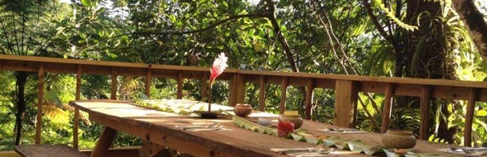 Roots Jungle Retreat Villa Marigot Eksteriør billede