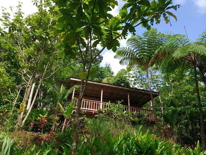 Roots Jungle Retreat Villa Marigot Eksteriør billede