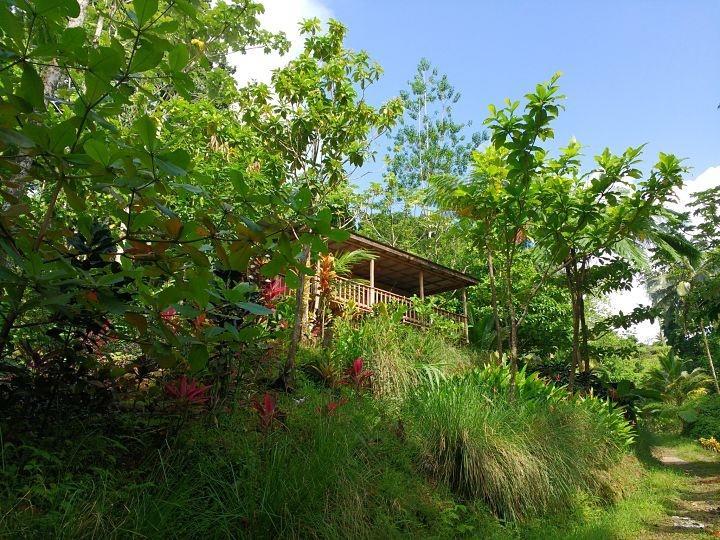Roots Jungle Retreat Villa Marigot Eksteriør billede