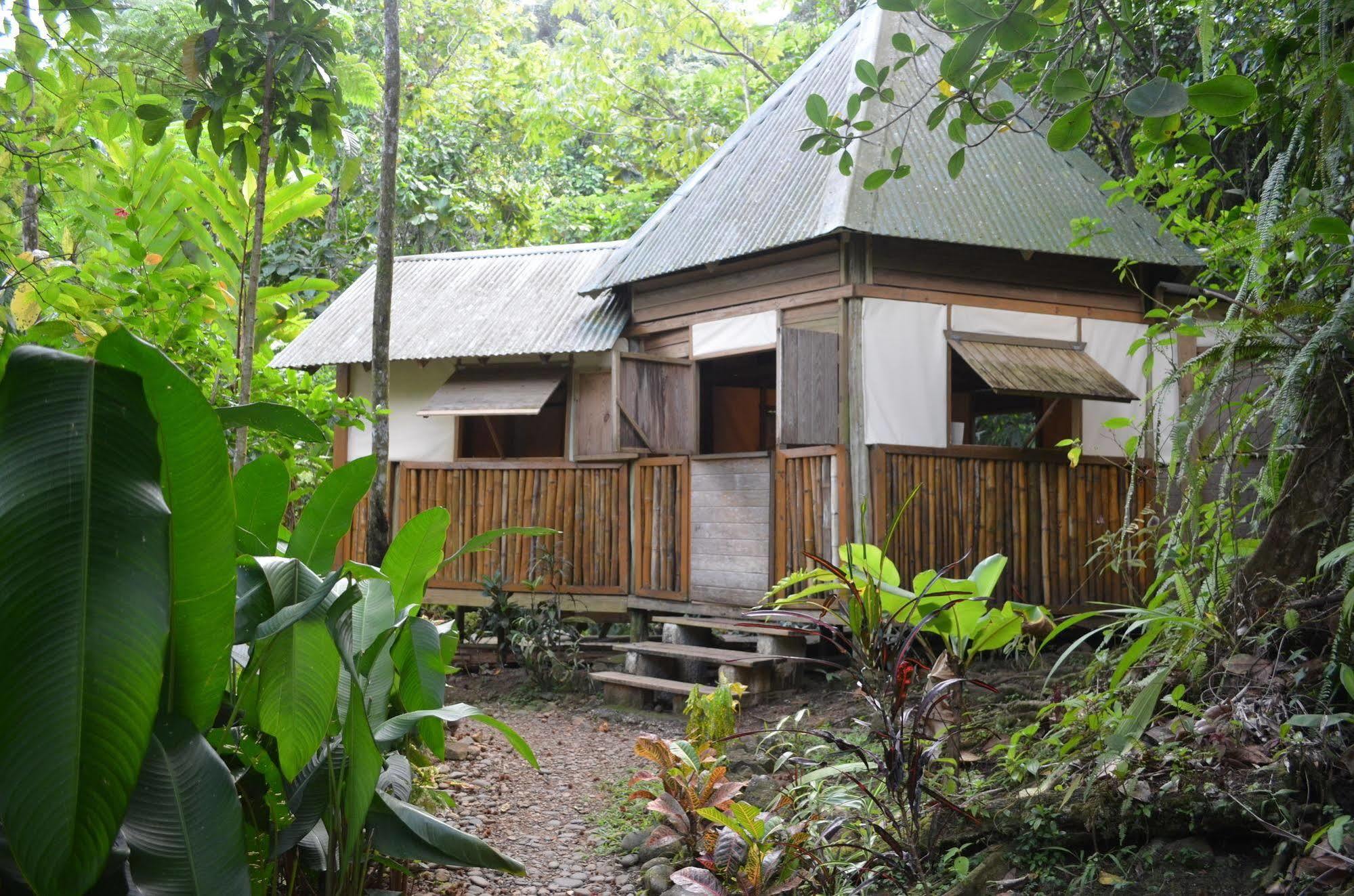 Roots Jungle Retreat Villa Marigot Eksteriør billede