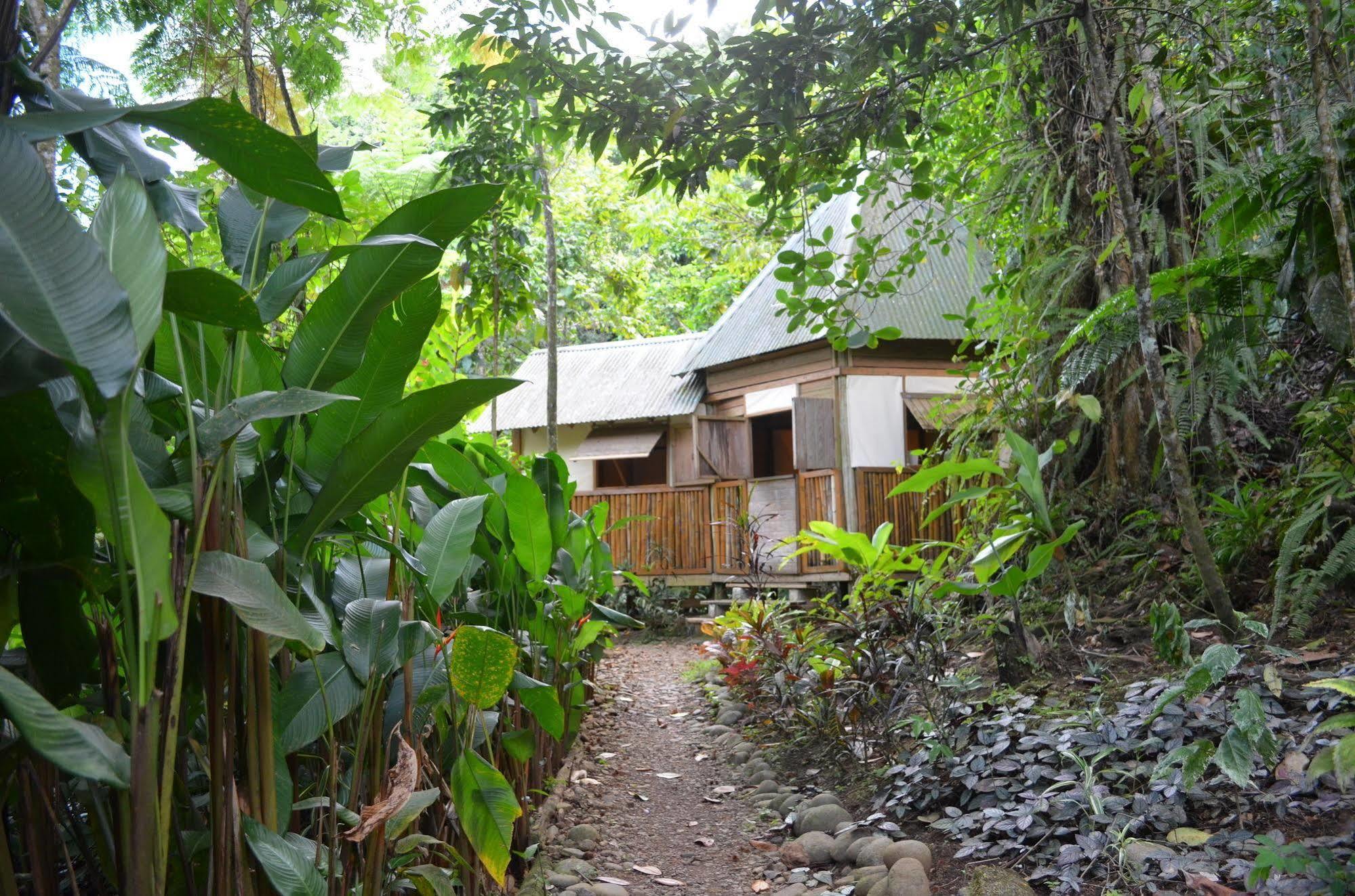 Roots Jungle Retreat Villa Marigot Eksteriør billede