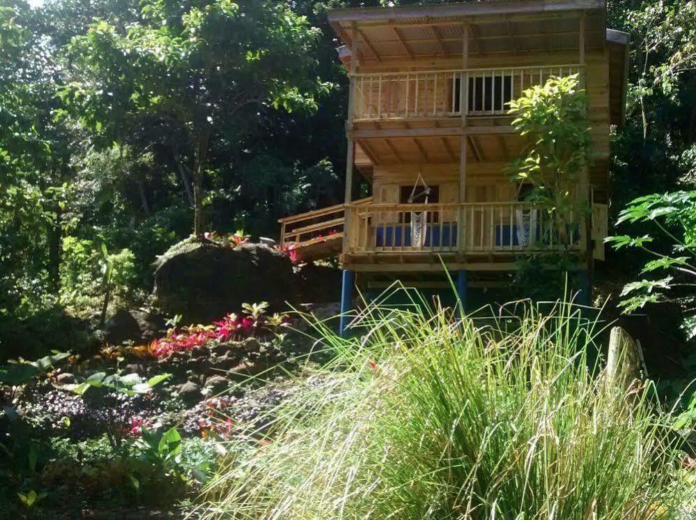 Roots Jungle Retreat Villa Marigot Eksteriør billede